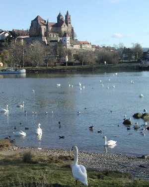Breisach am Rhein