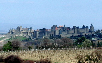 {short description of image}