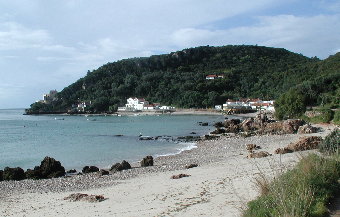 {short description of image}