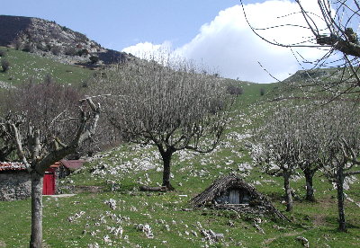 Parque Natural de Aralar3