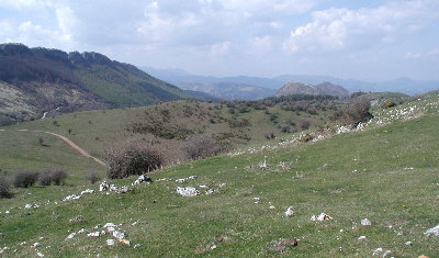 Parque Natural de Aralar2
