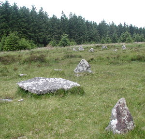 Dartmoor1