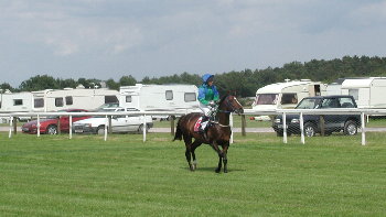 Exeter Racecourse2