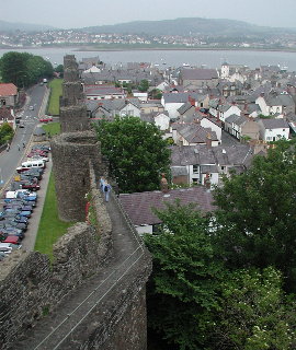 Conwy Wall