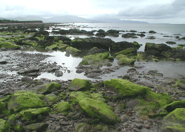 {short description of image}