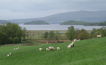 Loch Lomond