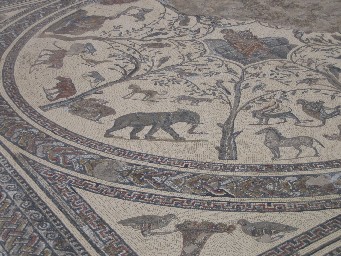 Mosaic Volubilis
