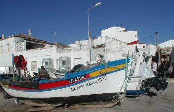 Salema