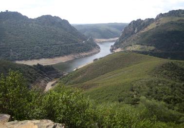 {short description of image}