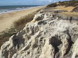 {short description of image}