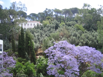 {short description of image}