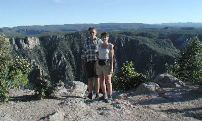 {short description of image}