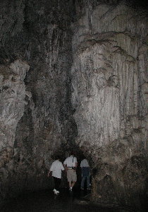 {short description of image}