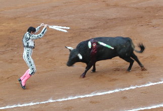 {short description of image}