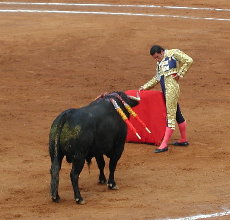 {short description of image}