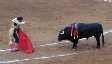 {short description of image}