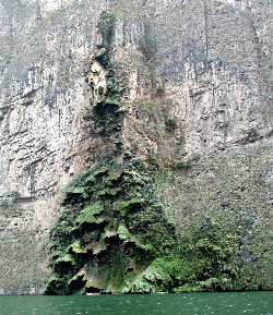 {short description of image}