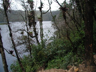 {short description of image}