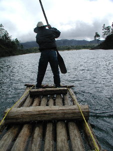 {short description of image}