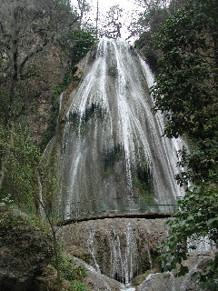 {short description of image}