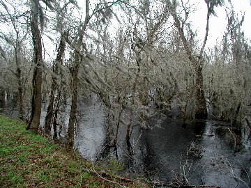 {short description of image}