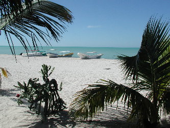 {short description of image}