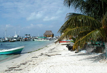 {short description of image}