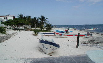 {short description of image}