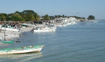 {short description of image}