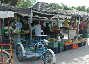 {short description of image}