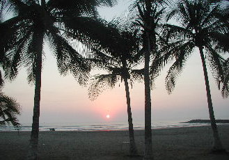 {short description of image}