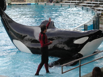 {short description of image}