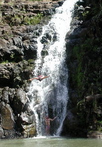 {short description of image}