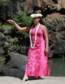 {short description of image}