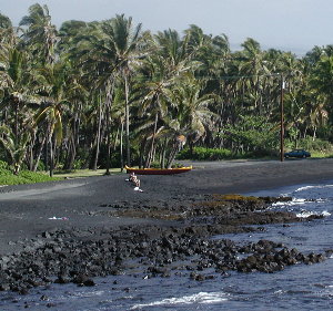 {short description of image}