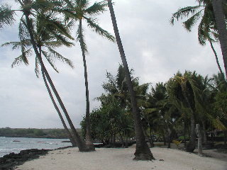 {short description of image}