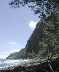 {short description of image}