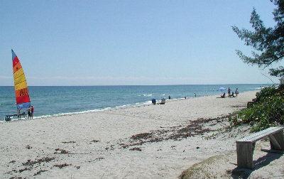 {short description of image}