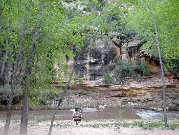 Newspaper Rock Campground
