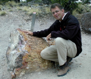 Petrified Forest 3