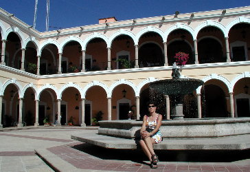 {short description of image}