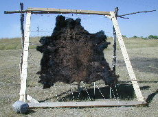 Buffalo skin