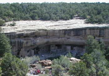 Spruce Tree Dwellings