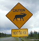 Elks on the road