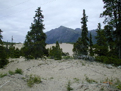 Carcross Desert