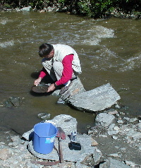 Volker gold panning
