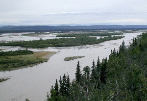 Tanana River