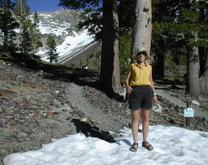 Ellery Lake Campground