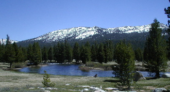 Tuolumne Meadows